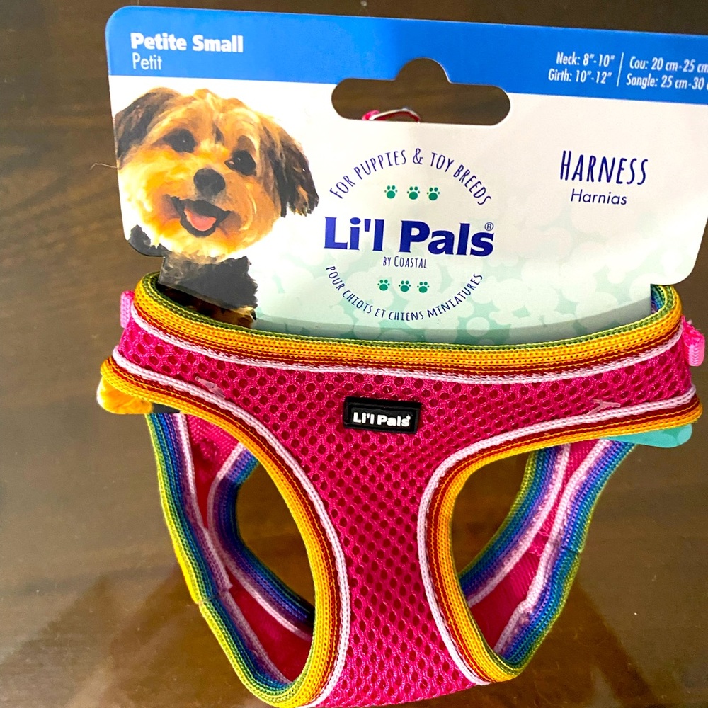Lightweight harness for a petite dog.